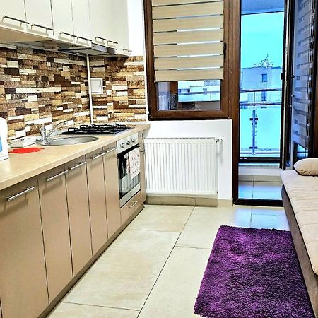 Karina New Flat Near Palas Mall Ясси Екстер'єр фото
